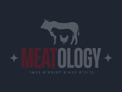 ממלא מקום